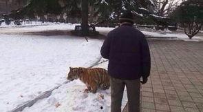 老汉公园做那事视频