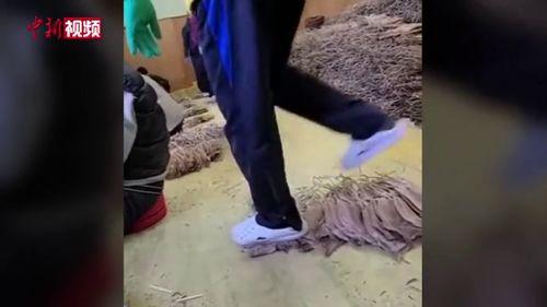 踩视频,一“踩”即达的视觉盛宴解析