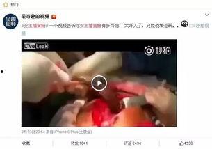 黄鳝女主播视频观看,揭秘网络直播的暗流涌动