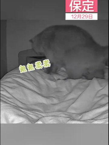 鬼压床视频全过程,鬼压床全过程，揭秘神秘现象背后的真相