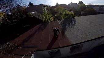 世界顶尖极限跑酷视频,世界顶尖跑酷高手巅峰对决