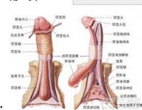 激光割包茎过程视频,高效、安全、微创