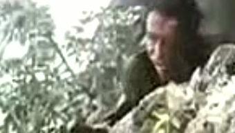 乌有之乡讲座视频,探寻社会主义道路的实践与思考